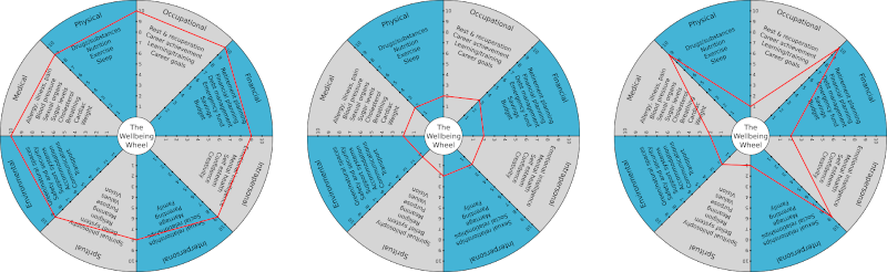 wellbeing wheel 3 images